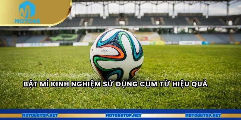 Bật mí kinh nghiệm sử dụng cụm từ hiệu quả