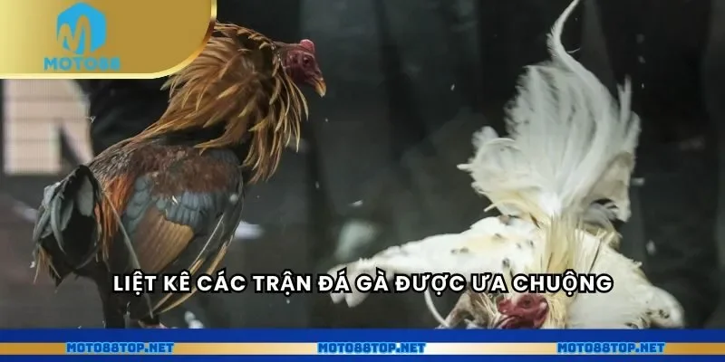 Liệt kê các trận đá gà được ưa chuộng