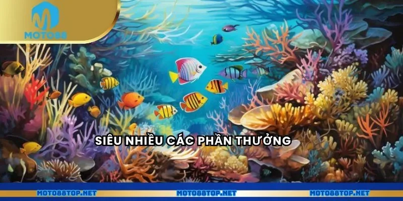 Siêu nhiều các phần thưởng