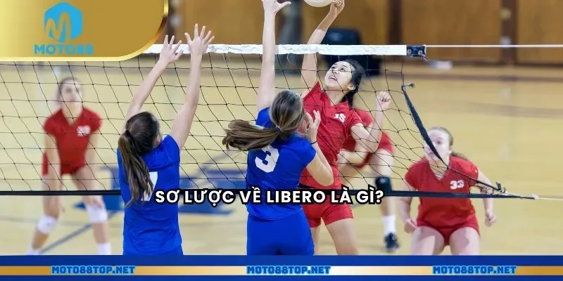 Sơ lược về Libero là gì?