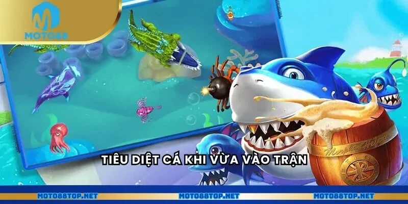 Tiêu diệt cá khi vừa vào trận